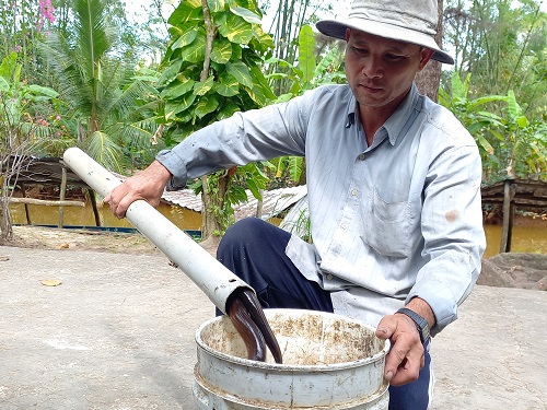 Đặt trúm bắt lươn dưới tán rừng U Minh