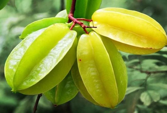 Ngày Rằm tháng Giêng bày 5 loại quả này lên bàn thờ: Tổ tiên ưng bụng, tăng tài tiến lộc