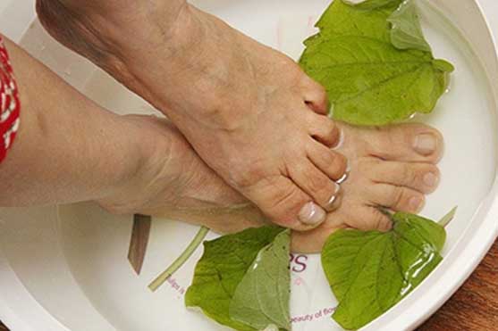 Lấy lá lốt ngâm với nước này, chân đau nhức đến mấy chỉ cần bôi vài lần là đỡ