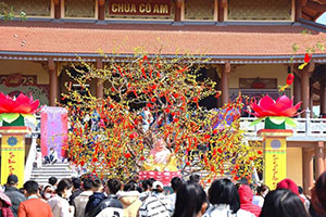  Hàng nghìn du khách về thăm xứ Nghệ vào dịp Tết 2023