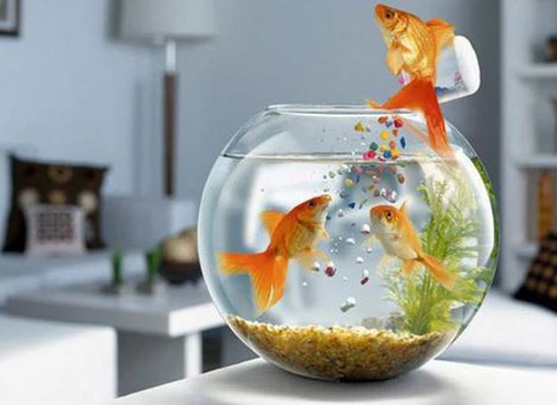 Có 6 thứ đừng để xuất hiện trong phòng ngủ: Tài lộc tiêu tán, vợ chồng lục đục bất an