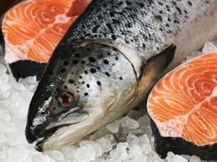 4 bộ phận chứa nhiều thủy ngân ở cá, càng ăn càng rút ngắn tuổi thọ