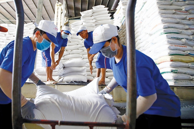 Không chỉ được cấp phép nhập khẩu chính ngạch, mà gạo thương hiệu Việt bán với giá rất cao - Ảnh minh họa