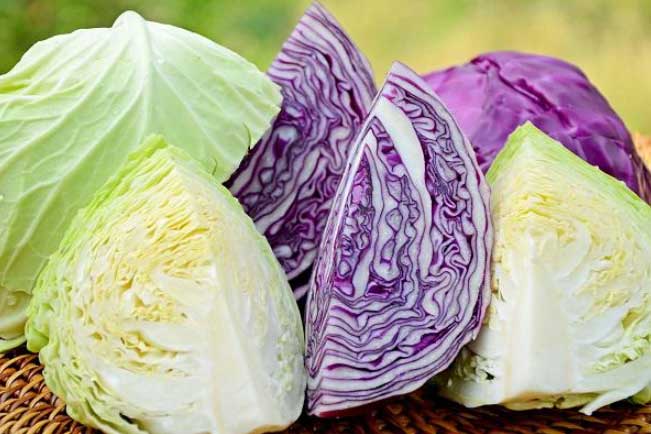 Ngửi bắp cải thấy có mùi này, 99% bị phun hóa chất, chị em chớ dại mà mua kẻo rước bệnh vào nhà