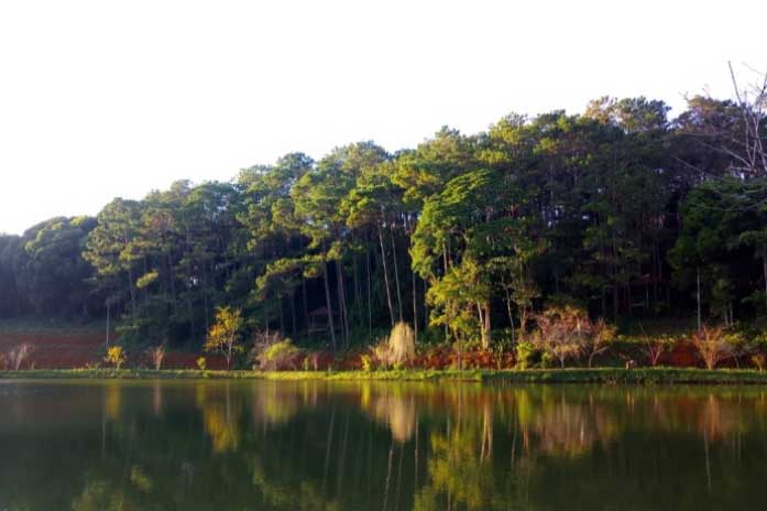 Xả stress với cảnh sắc thanh bình của ‘nàng công chúa ngủ trong rừng’ ở Kon Tum