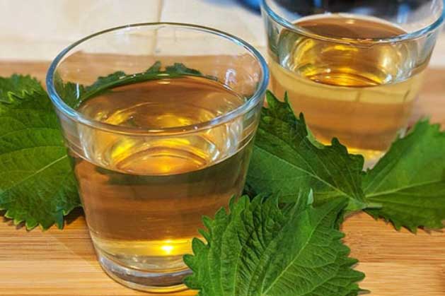 Uống nước tía tô cùng các nguyên liệu này sẽ có da hồng hào, sạm nám cũng biến mất