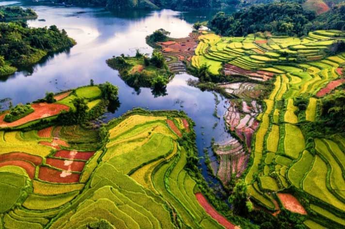 Tọa độ ngắm ruộng bậc thang đẹp rực rỡ và đầy thanh bình ở Tuyên Quang