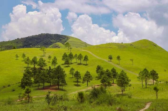 Đắm chìm trong thảo nguyên xanh mướt ‘không tì vết’ ở Bắc Kạn