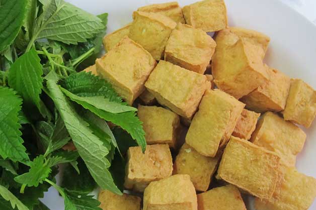 Đây chính là những mối nguy hại 'chết người' từ ăn đậu phụ mà ít ai biết