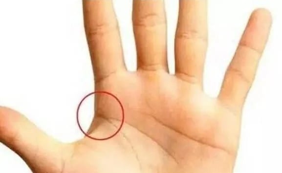 Đường vân trong lòng bàn tay báo hiệu chủ nhân giàu có, quyền lực hơn người