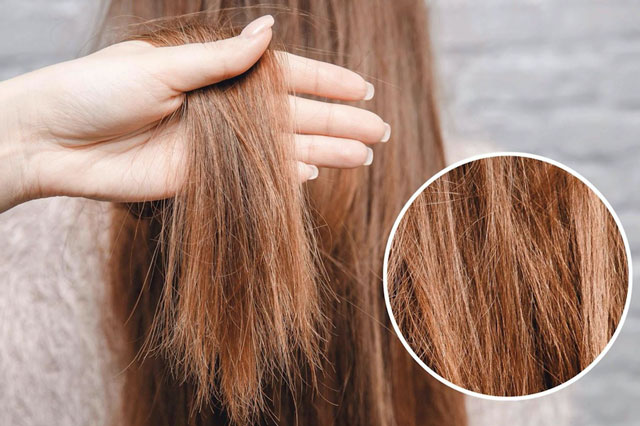 Sai lầm tai hại khiến mái tóc khô xơ xác