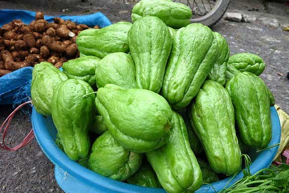 Đây là lý do dù su su đắt hay rẻ bạn cũng nên mua về cho gia đình mình ăn ngay hôm nay