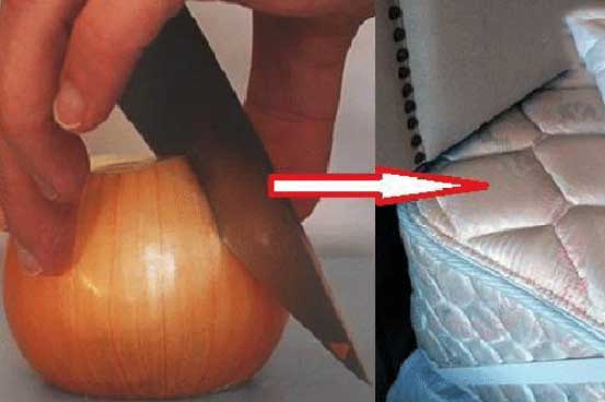 Cắt 3 miếng hành tây rồi đặt ở góc giường, sau một đêm chị em thấy điều kỳ diệu