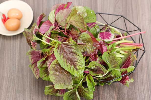 Ngồi ngay trên 5 loại “rau trường thọ” có đầy ở Việt Nam mà ai cũng nhầm tưởng đây là thứ "cỏ rẻ tiền"