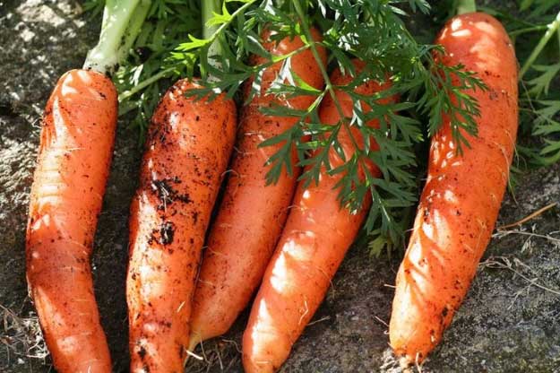 10 thực phẩm giúp làm sạch gan, thải hết chất độc trong cơ thể, số 3 cần bổ sung ngay