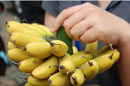 Mỗi ngày ăn 1-2 chuối quả rất tốt, nhưng tuyệt đối đừng ăn vào thời điểm "chỉ hại thân" này