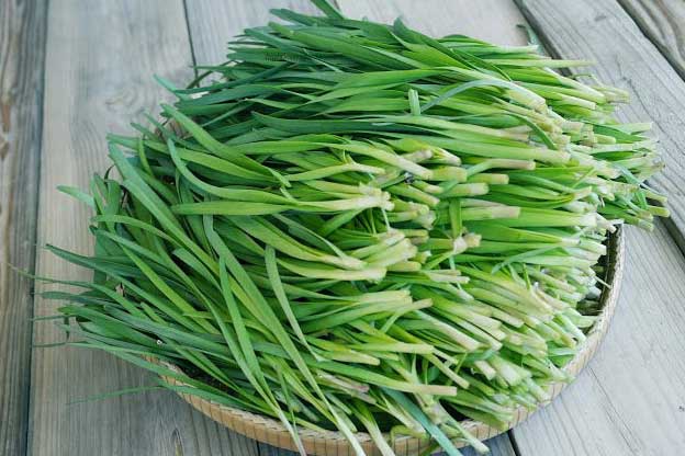 Xứng danh là rau dành cho thận, phụ nữ ăn vào cả đời không lo viêm phụ khoa, đàn ông “yêu” không biết mệt