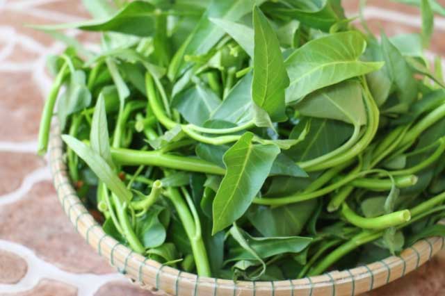 5 sai lầm trầm trọng khi ăn rau muống mà chị em nội trợ vẫn đua nhau làm theo, tự mua bệnh vào người