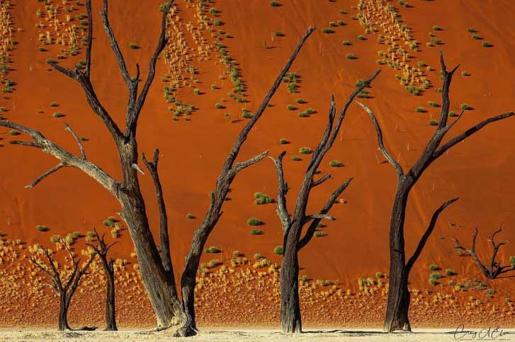 10 điểm đến cho thấy sự kỳ diệu của tự nhiên