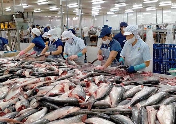 Xuất khẩu thủy sản tháng 1 giảm sâu, kỳ vọng phục hồi từ quý II