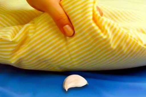 Lý do ai cũng nên đặt 1 tép tỏi dưới gối trước khi ngủ ngay ngày hôm nay- thật thần kỳ