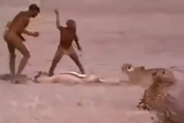 Clip: Thổ dân châu Phi liều mạng cướp mồi của báo săn