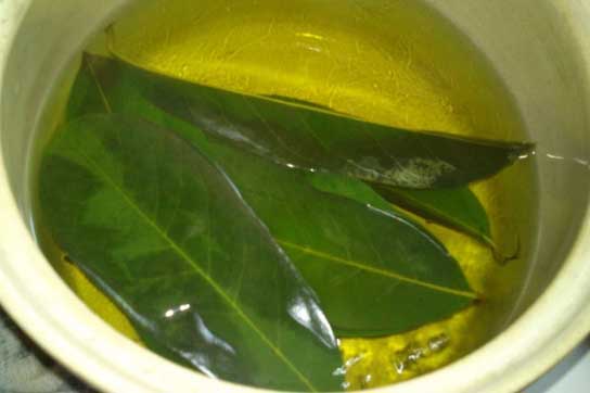 Chỉ cần một nắm lá xoài cho bạn 10 công dụng siêu bất ngờ, nhất là với người bị sỏi thận và sỏi mật