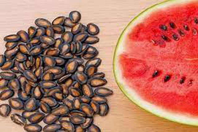 Hạt dưa hấu làm thuốc