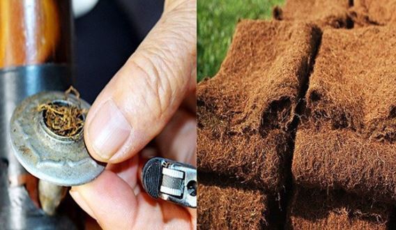 Co giật toàn thân, ngã đập đầu vì hút thuốc lào