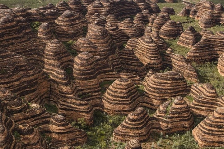 Những ‘tổ ong khổng lồ’ tồn tại hàng triệu năm độc nhất hành tinh - 4
