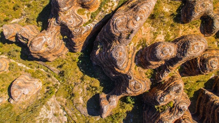 Những ‘tổ ong khổng lồ’ tồn tại hàng triệu năm độc nhất hành tinh - 6