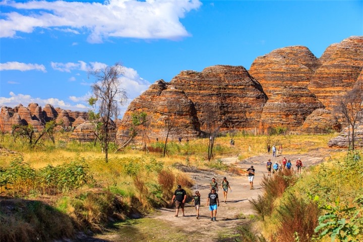 Những ‘tổ ong khổng lồ’ tồn tại hàng triệu năm độc nhất hành tinh - 7
