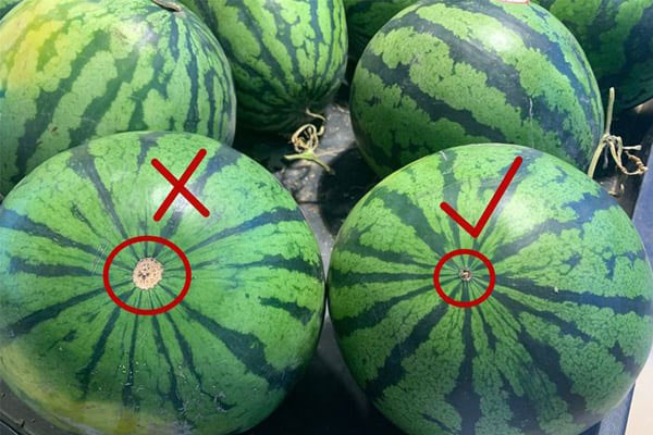 Mẹo chọn dưa hấu chín ngọt cực chuẩn mà không cần vỗ