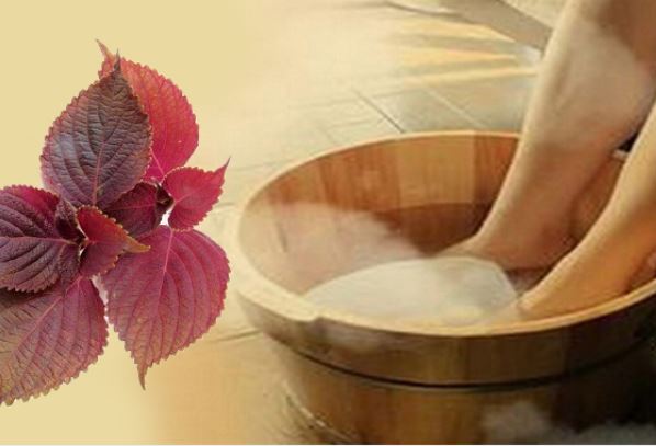 Loại rau giá rẻ nhưng hỗ trợ chữa bệnh gout vô cùng hiệu quả