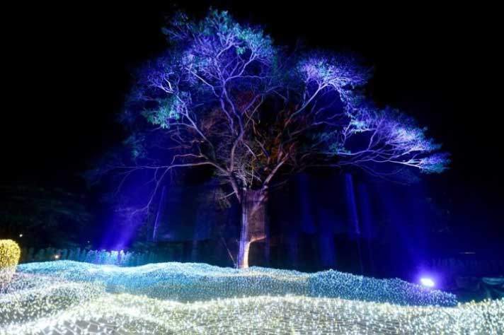 Lạc lối trong không gian lung linh tựa xứ sở thần tiên ở công viên Thái Lan