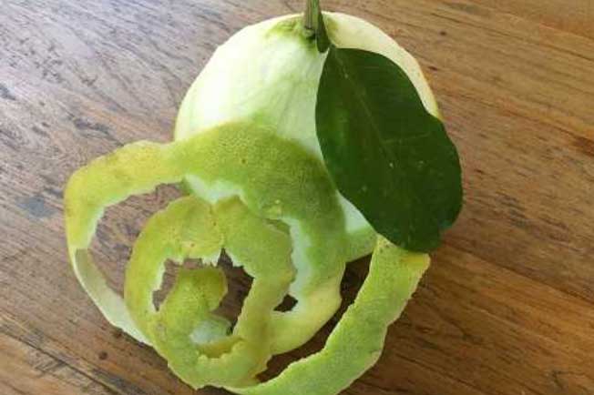 Thần dược dành cho sức khoẻ mà hầu như nhà nào cũng đang ném bỏ