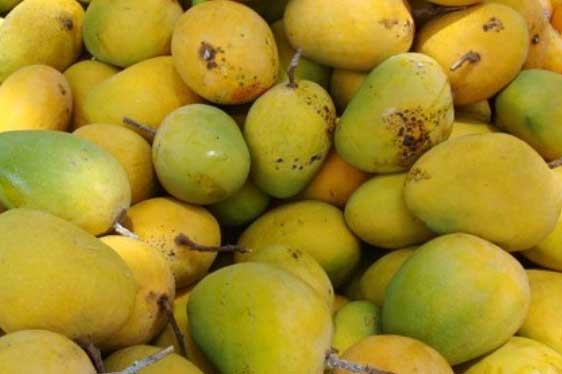 Chỉ mặt loại quả được nhiều người ưa chuộng vô cùng nhưng tẩm nhiều chất độc hại nhất hiện nay mà ít ai ngờ