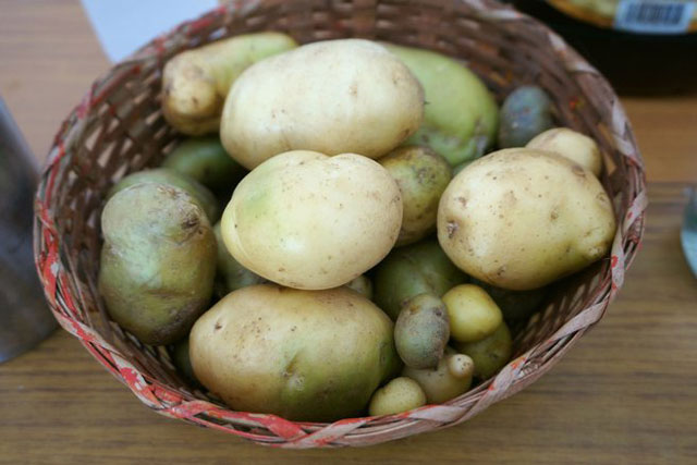 5 điều cấm kỵ khi bảo quản khoai tây khiến nhanh hỏng, ăn vào thậm chí còn gây ung thư