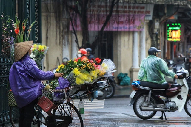 Cuộc sống mưu sinh của người dân gặp khó khăn hơn trong hình thái thời tiết mưa kèm nồm ẩm. Ảnh: TTXVN