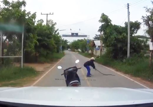 Clip: Cao thủ trổ tài bắt rắn trong “chớp mắt”