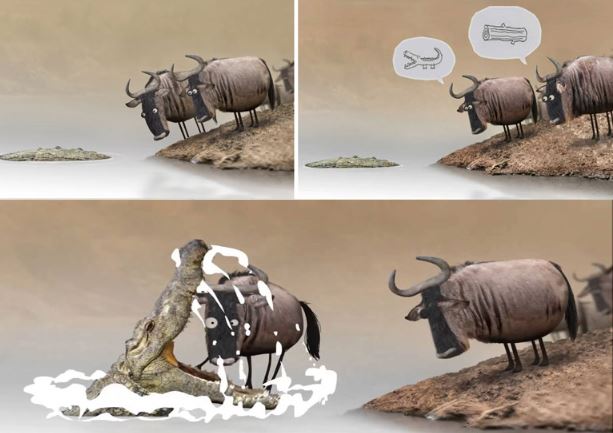 Clip hài hước: Chết thảm vì tranh cãi với kẻ ngu ngốc