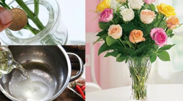 Đổ nước lã cắm hoa là chưa đủ: Thêm thứ này vào bình, hoa tươi roi rói, để mấy tuần vẫn thơm