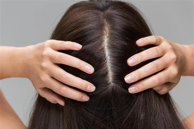 Bạn có đang chăm sóc da đầu đúng cách?