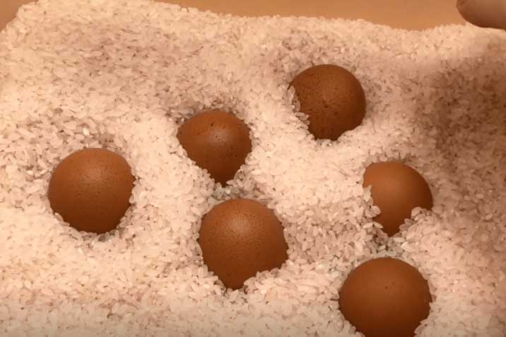 Không cần tủ lạnh bạn vẫn có thể bảo quản trứng lâu hơn nhờ những mẹo này