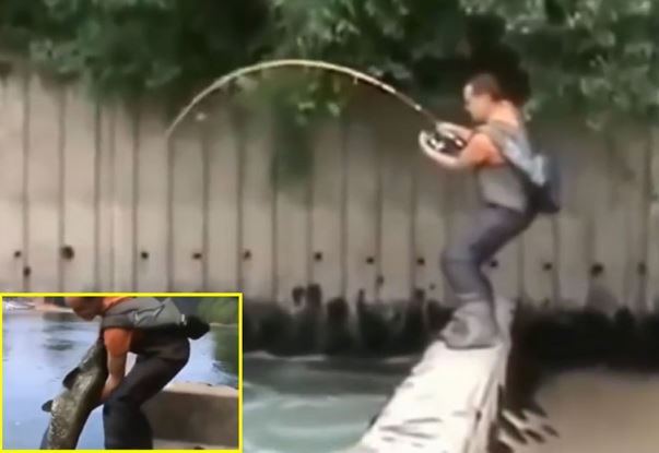 Clip: Cần thủ tóm gọn cá trê to như người