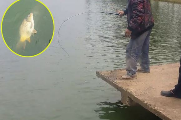 Clip: Câu được cá chép “khủng” trên Hồ Xuân Hương, Đà Lạt