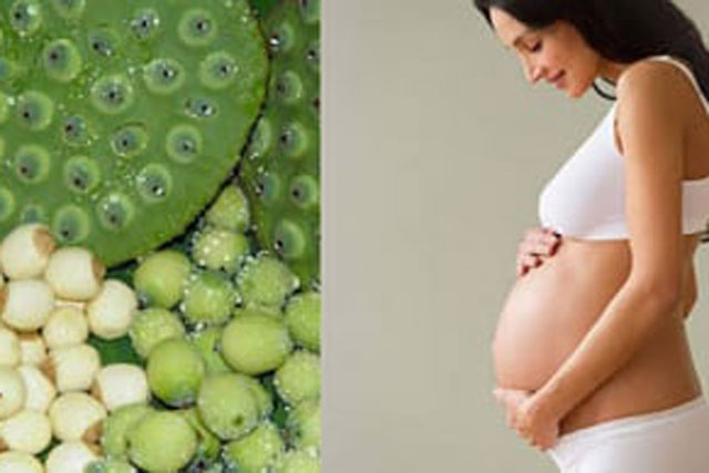 Ngoài tác dụng an thần, ăn hạt sen còn đem lại 7 lợi ích khác, bà bầu không nên bỏ qua