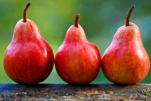 Những loại hoa quả nên ăn cả vỏ