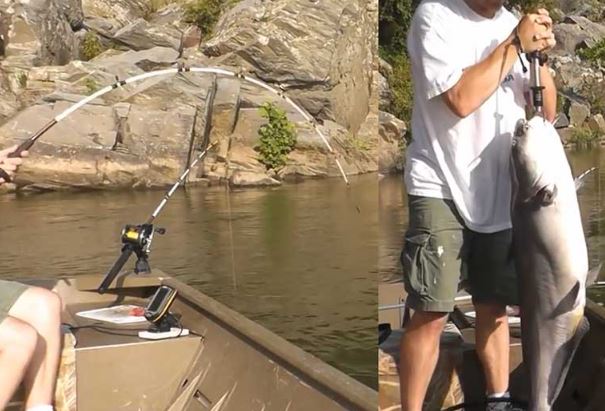 Clip: Cần thủ vớ bẫm khi thả câu ở khúc sông vắng
