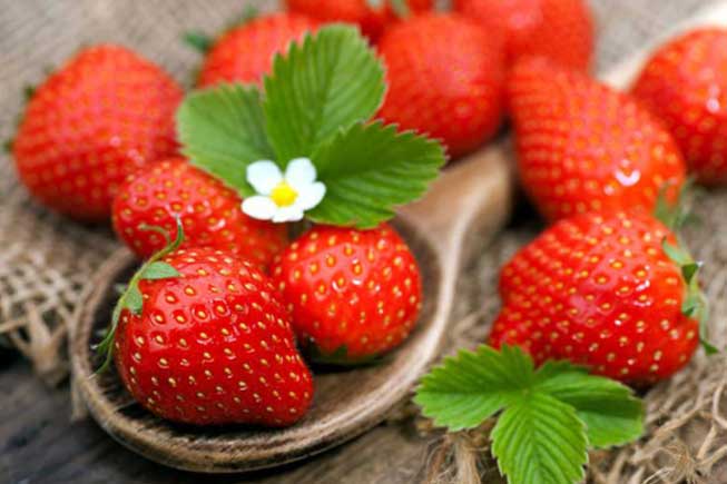 Vạch mặt 12 loại rau quả "tắm" nhiều thuốc trừ sâu nhất, số 1 nhiều người vẫn thích mê